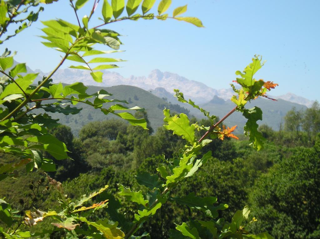 Casa Rural Alborada Bobia de Arriba ภายนอก รูปภาพ